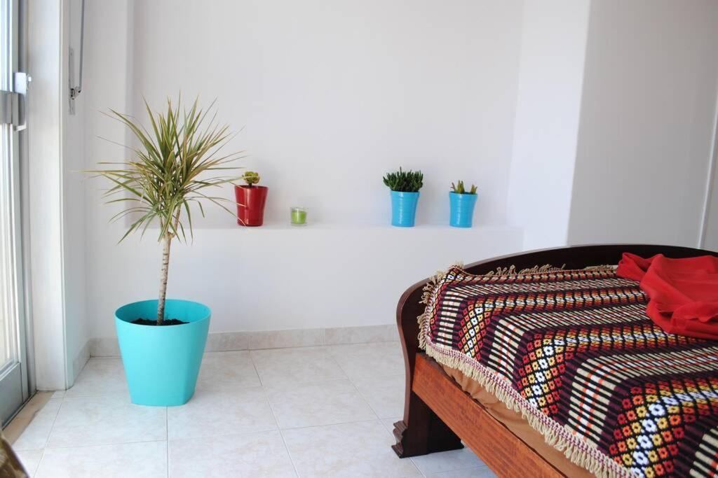 Marine Freestyler Glorious Terrace Apartment Faro Bagian luar foto